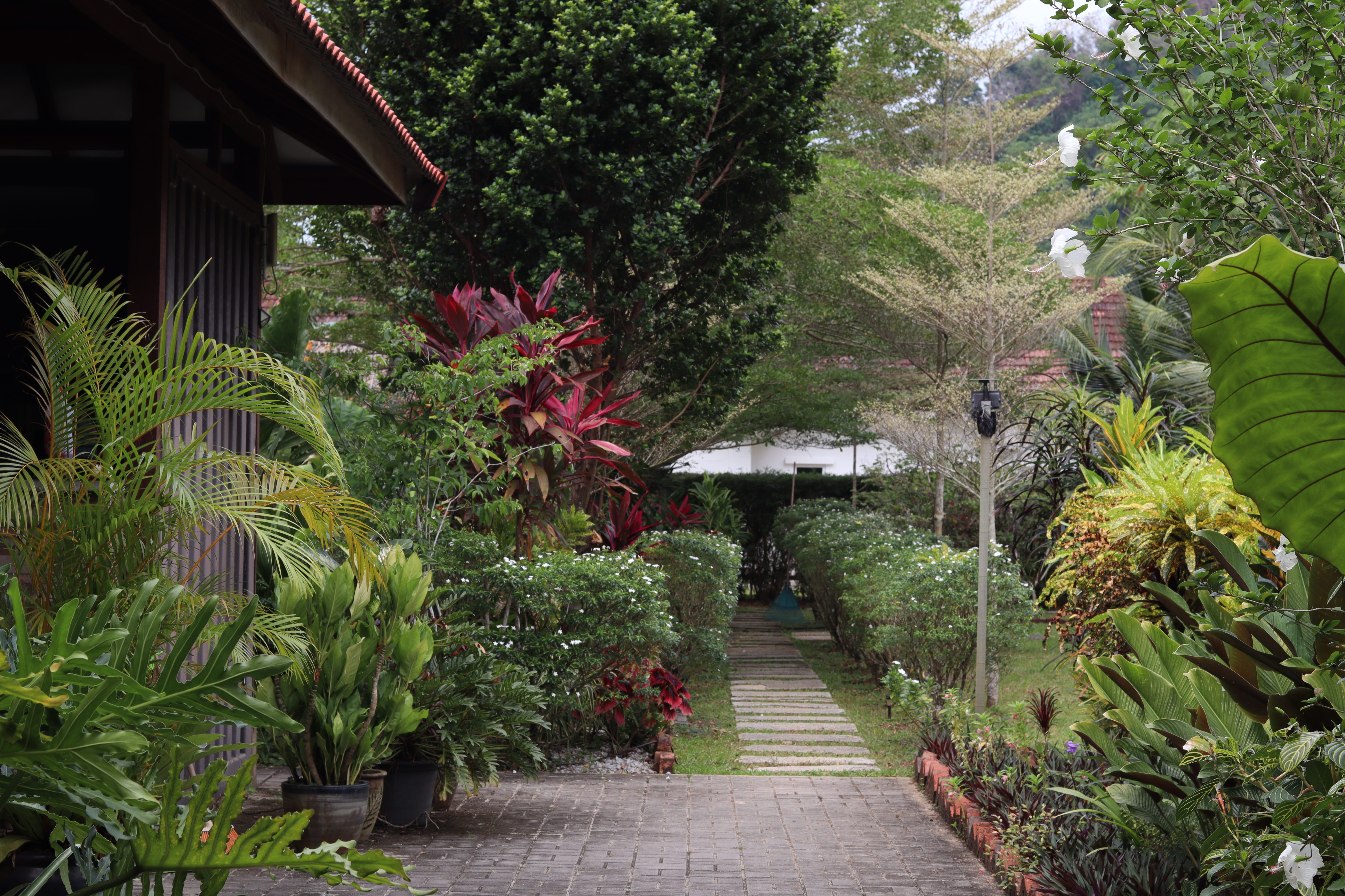 Courtyard at Bambu compound